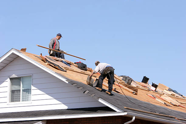 Best Roof Ventilation Installation  in Hillcrest, CA
